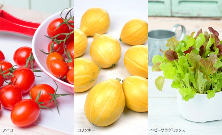 「アイコ」「コリンキー」「ベビーサラダミックス」