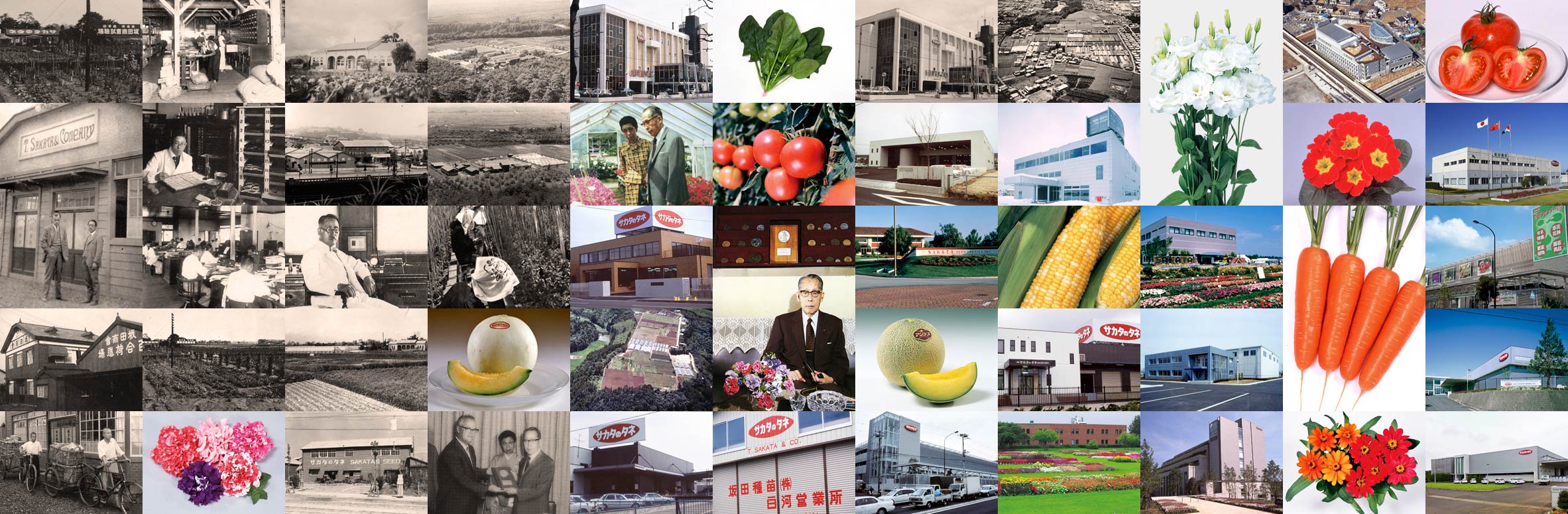 サカタのタネ創業100周年特設サイト（アーカイブ）