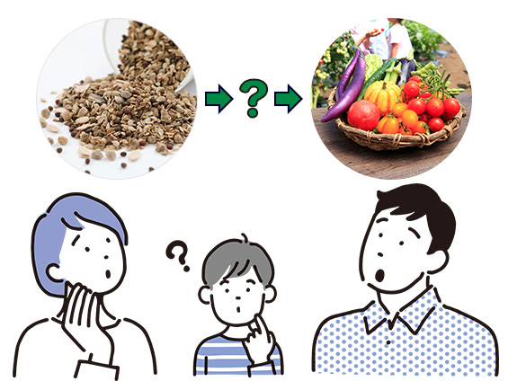 よくわかる種苗業