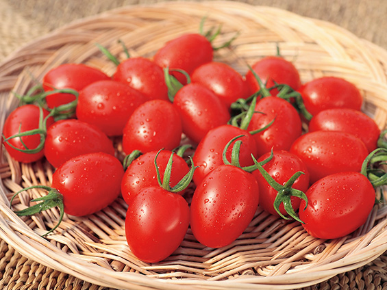 ミニトマトアイコ