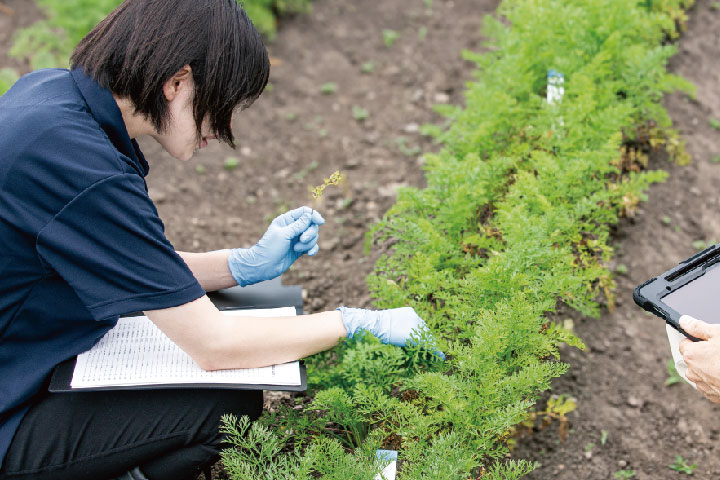 植物病理のイメージ画像
