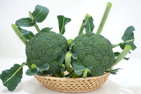 早生種「ルミナス」の画像