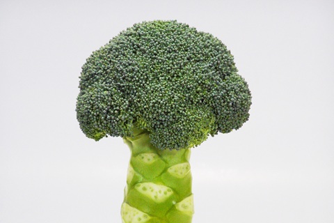 晩生種「クリア」の画像