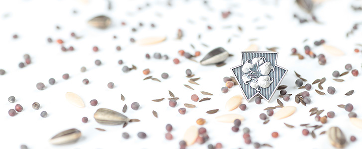 Company Motto, Management Philosophy, Corporate Group Slogan