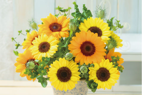 “Vincent’s” series (Sunflower)