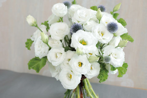 “PF Double Snow” Lisianthus