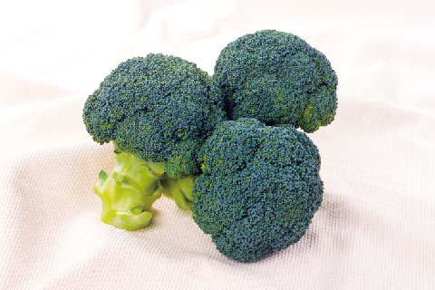 “Ohayo” broccoli