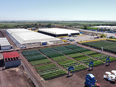 Culiacan Innovation Center established in Mexico