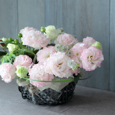 トルコギキョウのイメージ