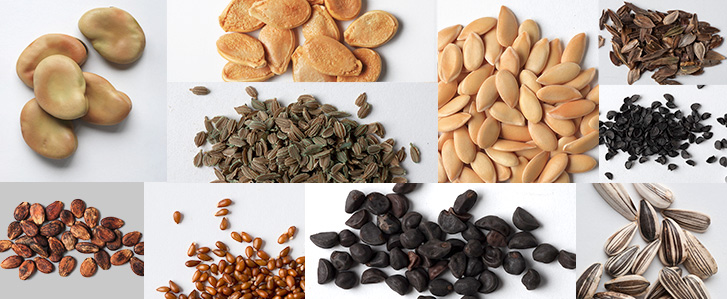 個人投資家の皆さまへ