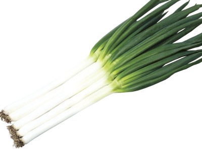 5月上旬でも安定生産、晩抽性に優れる一本ネギ『初夏扇2号』