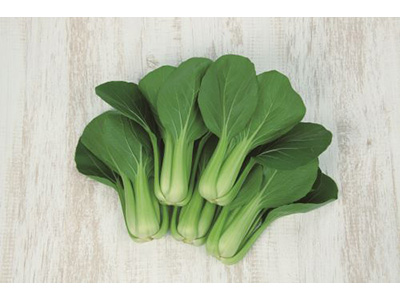 低温伸長性に優れるチンゲンサイ『翠勲（すいくん）』の種子発売