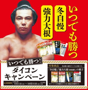 いつでも勝つ！ ダイコンキャンペーン実施