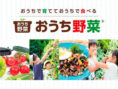 家庭菜園向け野菜苗シリーズ「おうち野菜」をリニューアル