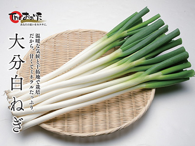 「大分白ねぎを食べておいしい食材を当てよう！」キャンペーン