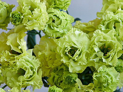 当社開発トルコギキョウの切り花、ネーミング募集キャンペーンで名称決定