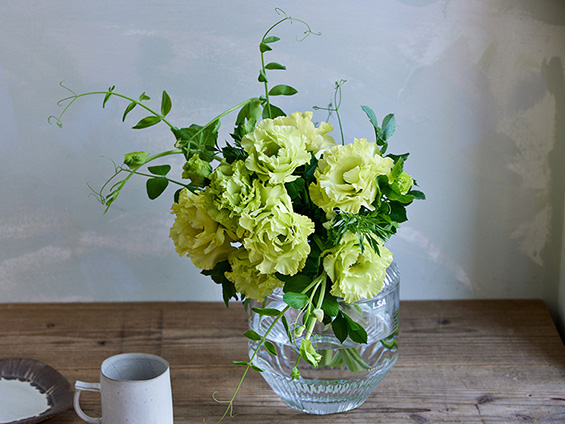 当社と青山フラワーマーケットが共同商品開発のトルコギキョウ発売