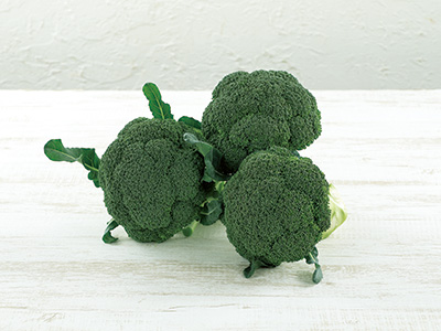 根こぶ病耐病性ブロッコリー『アーリーキャノン』の種子発売