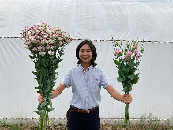 新たな切り花ビジネス構築へ、EC・サブスク向け新規栽培規格を開発