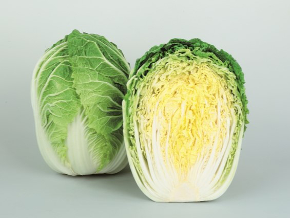 石灰欠乏症（あんこ）に強いハクサイの新品種『桜月』の種子発売