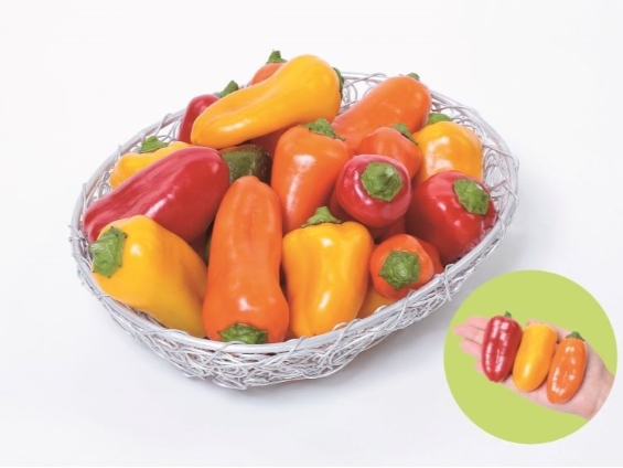 家庭菜園向け野菜品種「おうち野菜」シリーズに新商品を追加