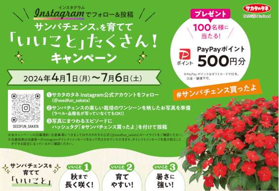 サンパチェンスを育てて「いいこと」たくさん！キャンペーン