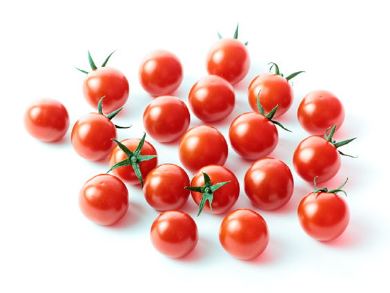 裂果に強い黄化葉巻病耐病性ミニトマト「ロイヤルパッション」開発