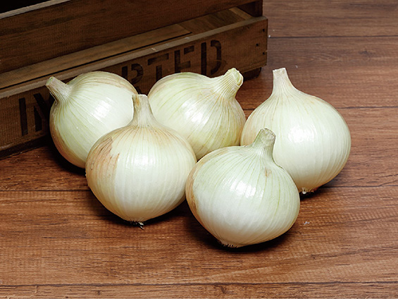 サカタのタネが形状、色に優れるタマネギ「ゆめたま」発売