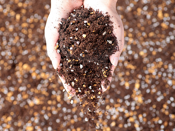 サカタのタネ、「花と野菜の培養土W-SOIL-305」を限定発売