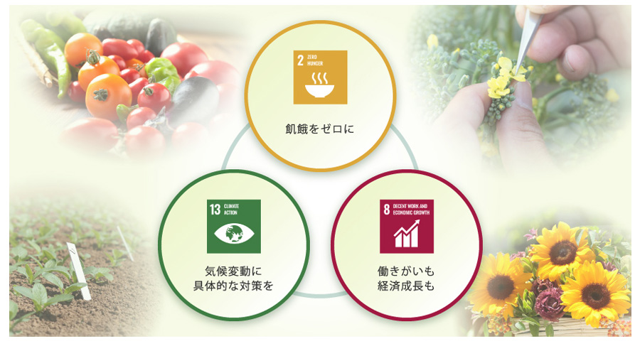サカタグループが取り組むSDGsの図