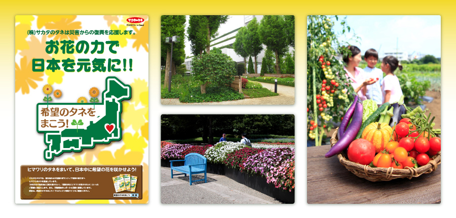 SDGsのイメージ図