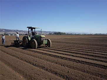 トラクターの写真