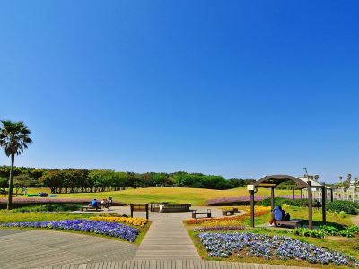 神奈川県立辻堂海浜公園 画像
