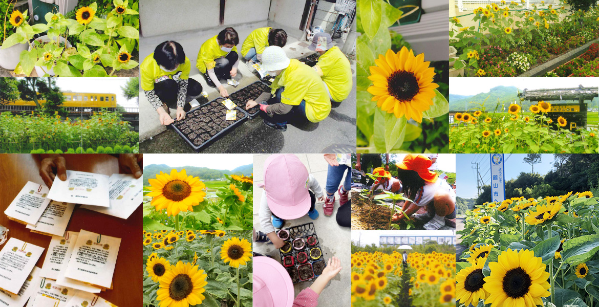 「希望のタネをまこう!」プロジェクトイメージ画像(応募で寄せられた沢山の事例写真)