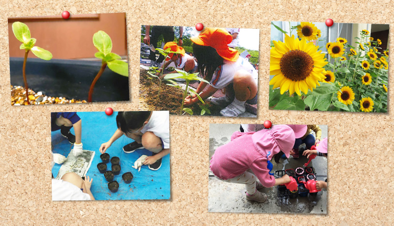 応募事例のイメージ画像