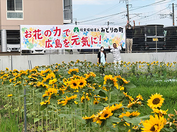 社会福祉法人みどりの町 就労継続B型事業所とよの郷様のヒマワリ