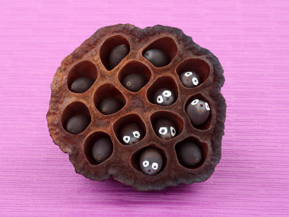 ハスのタネに目をつけてモグラにみたてた写真