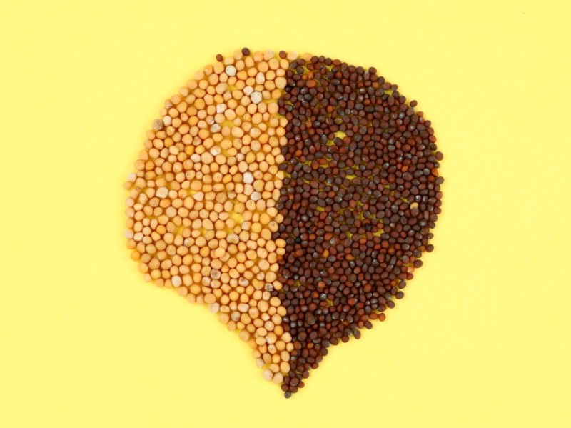 カラシナのタネ