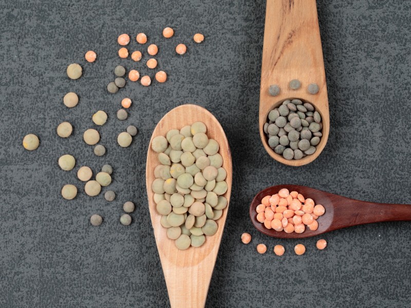 レンズマメのタネ