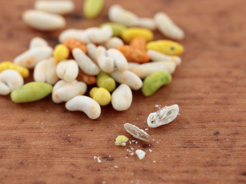 カラフルなシュガーコーティングの粒を割ると、中からフェンネルのタネが出てきます。