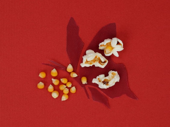 はじけたポップコーンの形が羽を広げたチョウに似たバタフライタイプ、イエローポップの写真