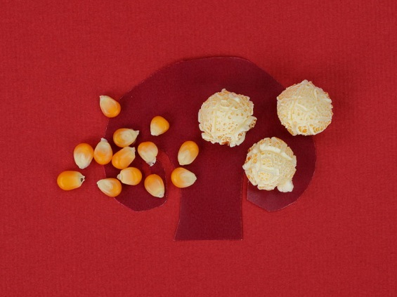 はじけたポップコーンの形が丸いドーム型のマッシュルームタイプ、まるポップの写真