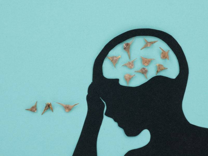 頭痛の種イメージ