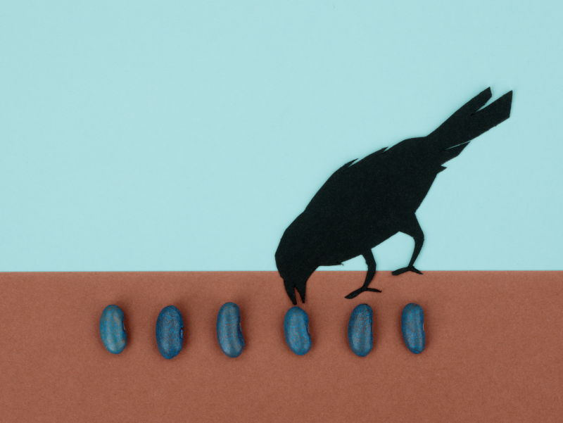 カラスがタネをほじくっているイメージ