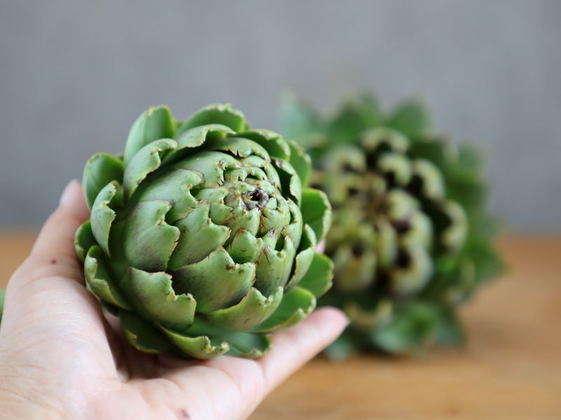 アーティチョークのつぼみの様子