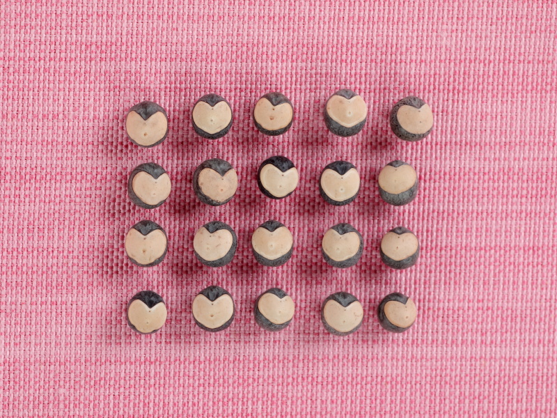 黒い丸いタネに白いハート模様が特徴