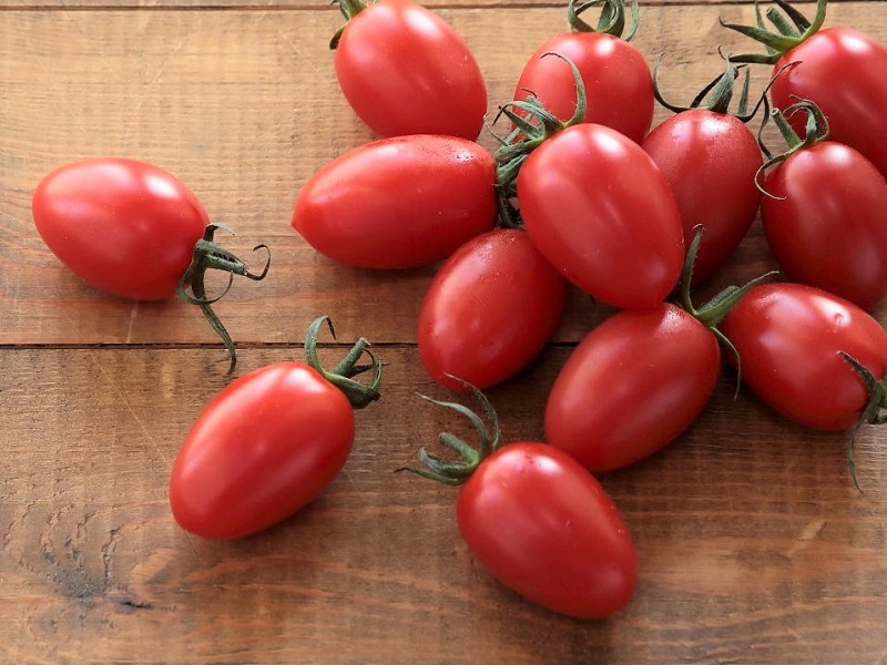 楕円系の赤いフォルムのミニトマトのアイコを収穫した画像