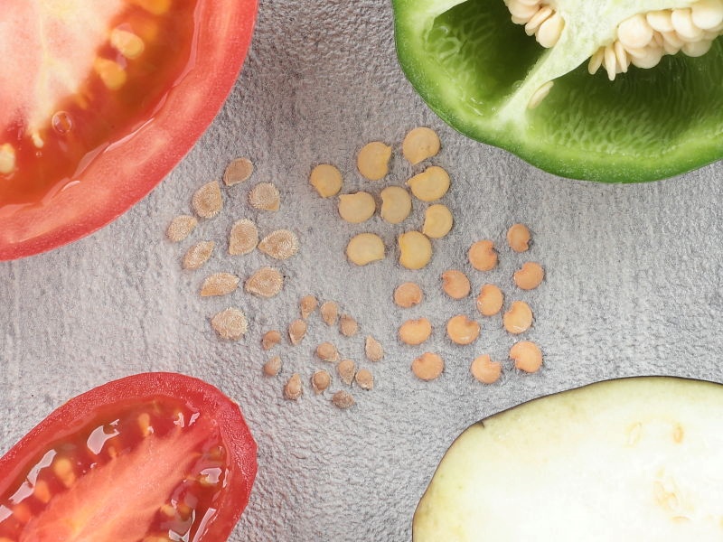 4種類のタネと、そのタネを育てると採れる野菜が対になって写っています