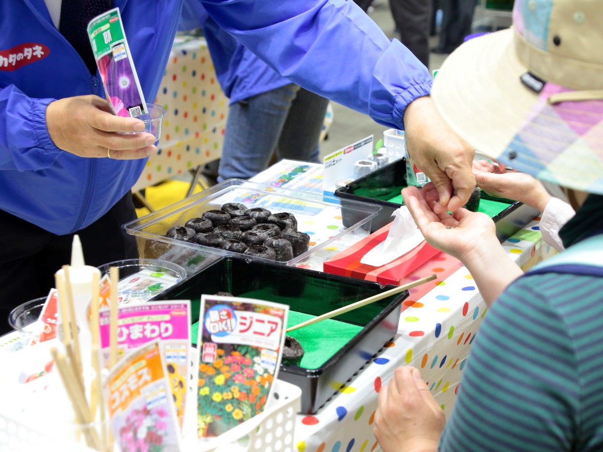 イベントでのタネまき体験の様子